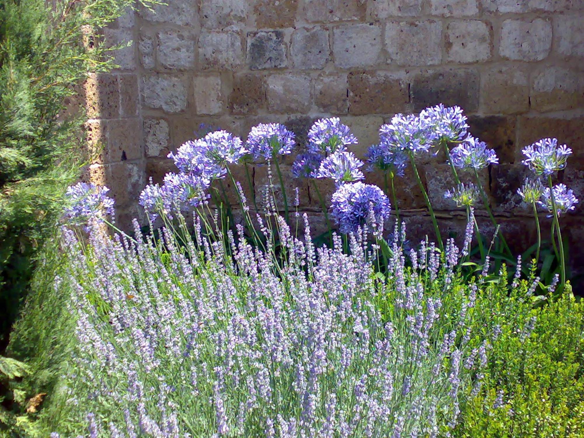 Locanda Palazzone Orvieto Exterior foto